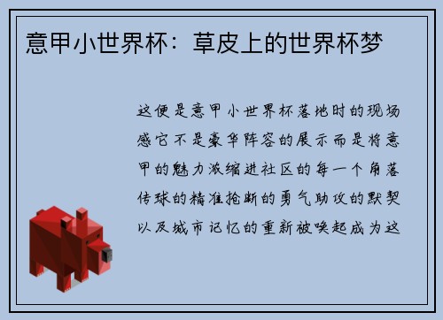 意甲小世界杯：草皮上的世界杯梦